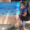 Vacation 2011 Brazil